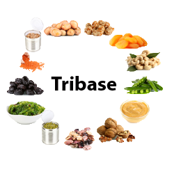 Suplementación Nutricional